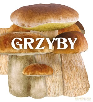 Grzyby [KSIĄŻKA]