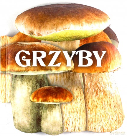 Grzyby [KSIĄŻKA]