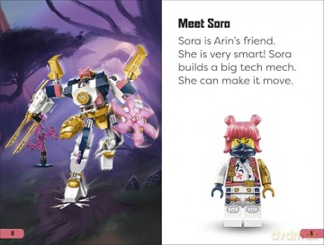 DK Super Readers Level 1 LEGO NINJAGO Dragons Rising Meet the Ninja [KSIĄŻKA]