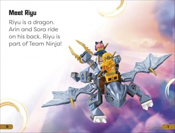 DK Super Readers Level 1 LEGO NINJAGO Dragons Rising Meet the Ninja [KSIĄŻKA]