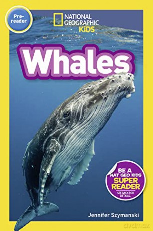 Whales (Pre-Reader) (National Geographic Readers) - National Geographic Kids [KSIĄŻKA]