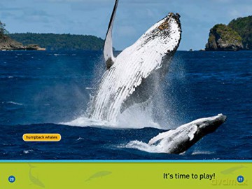 Whales (Pre-Reader) (National Geographic Readers) - National Geographic Kids [KSIĄŻKA]