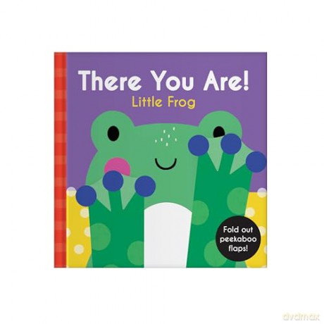There You Are: Little Frog [KSIĄŻKA]