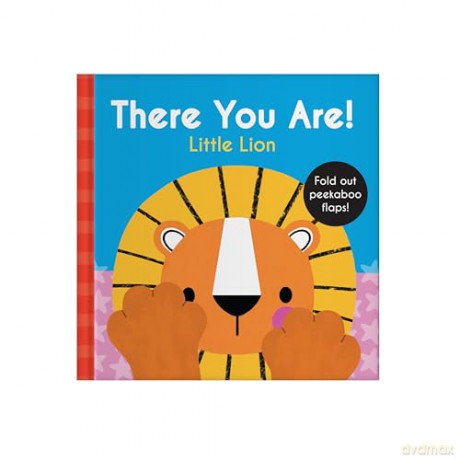 There You Are: Little Lion [KSIĄŻKA]