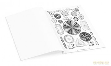 Ernst Haeckel: Art Forms in Nature Coloring Book - Pomegranate [KSIĄŻKA]
