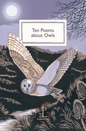 Ten Poems about Owls [KSIĄŻKA]