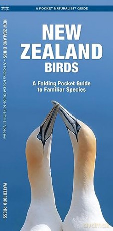 New Zealand Birds: A Folding Pocket Guide to Familiar Species (A Pocket Naturalist Guide) (Nature Observation International) - Waterford Press [KSIĄŻKA]