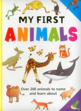 My First Animals: Over 200 Animals to Name and Learn about - Jan Lewis [KSIĄŻKA]