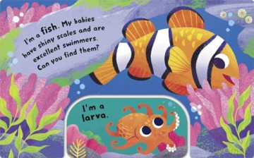 Animal Snap: Ocean [KSIĄŻKA]