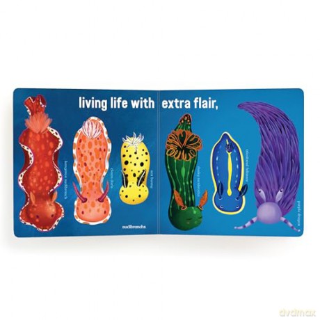 Love Under the Sea Board Book (Love In The Wild) - Mudpuppy [KSIĄŻKA]
