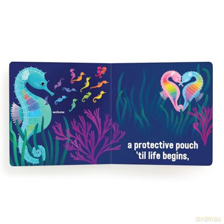Love Under the Sea Board Book (Love In The Wild) - Mudpuppy [KSIĄŻKA]