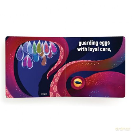 Love Under the Sea Board Book (Love In The Wild) - Mudpuppy [KSIĄŻKA]