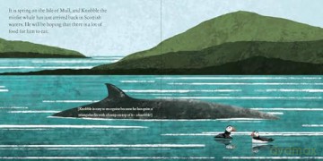 Knobble the Minke Whale - Megan Francis [KSIĄŻKA]