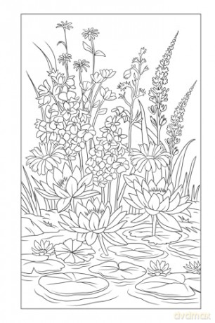Blossoms and Blooms Coloring [KSIĄŻKA]