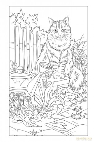 Blossoms and Blooms Coloring [KSIĄŻKA]