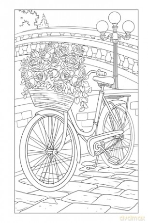 Blossoms and Blooms Coloring [KSIĄŻKA]