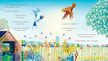 Follow the Swallow: A brilliantly funny illustrated children's picture book about friendship - Julia Donaldson [KSIĄŻKA]