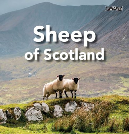Sheep of Scotland - Sarah O'Connor [KSIĄŻKA]