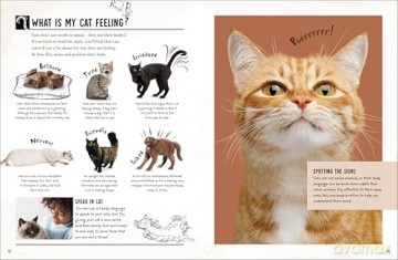 My Cat: Everything You Need to Know About Owning a New Pet - Jess French [KSIĄŻKA]