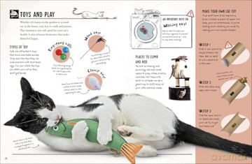 My Cat: Everything You Need to Know About Owning a New Pet - Jess French [KSIĄŻKA]