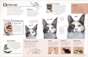 My Cat: Everything You Need to Know About Owning a New Pet - Jess French [KSIĄŻKA]