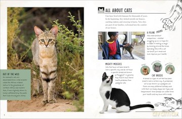 My Cat: Everything You Need to Know About Owning a New Pet - Jess French [KSIĄŻKA]