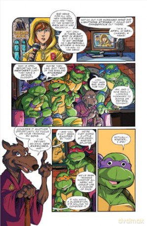 Teenage Mutant Ninja Turtles: Turtle Power Pack, Vol. 3 - Erik Burnham [KOMIKS]