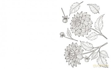 The Beautiful Blooms Colouring Book: Over 40 Floral Designs to Colour (Arcturus Creative Colouring) - Tansy Willow [KSIĄŻKA]