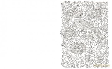 The Beautiful Blooms Colouring Book: Over 40 Floral Designs to Colour (Arcturus Creative Colouring) - Tansy Willow [KSIĄŻKA]
