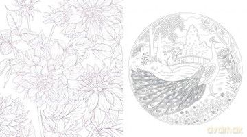 Wonder Gardens Coloring Book: Color Your Way Through Enchanted Flora and Tranquil Landscapes (Chartwell Coloring Books) [KSIĄŻKA]