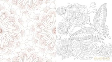 Wonder Gardens Coloring Book: Color Your Way Through Enchanted Flora and Tranquil Landscapes (Chartwell Coloring Books) [KSIĄŻKA]