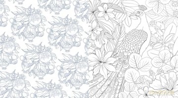 Wonder Gardens Coloring Book: Color Your Way Through Enchanted Flora and Tranquil Landscapes (Chartwell Coloring Books) [KSIĄŻKA]