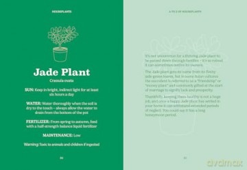 The Pocket Houseplants (Gemini Pockets) - Gemini Books [KSIĄŻKA]