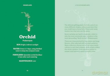 The Pocket Houseplants (Gemini Pockets) - Gemini Books [KSIĄŻKA]