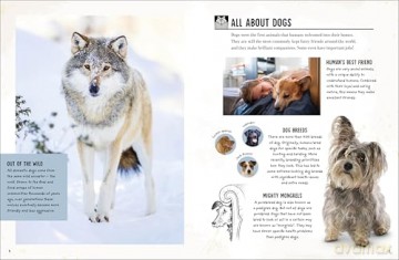 My Dog: Everything You Need to Know About Owning a New Pet - Jess French [KSIĄŻKA]