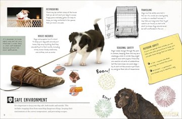 My Dog: Everything You Need to Know About Owning a New Pet - Jess French [KSIĄŻKA]
