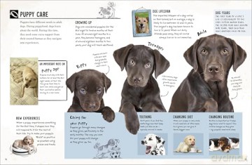 My Dog: Everything You Need to Know About Owning a New Pet - Jess French [KSIĄŻKA]