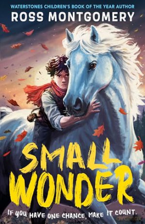 Small Wonder: The brand-new exciting adventure for 9-12-year-olds from the award-winning, bestselling author of I Am Rebel - Ross Montgomery [KSIĄŻKA]