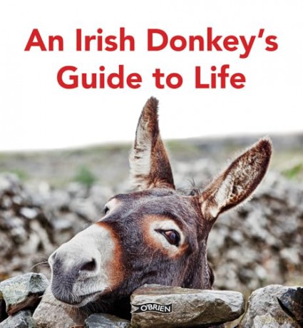 An Irish Donkey's Guide to Life - Sarah O'Connor [KSIĄŻKA]