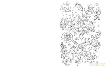 The Amazing Pattern Art Colouring Book: Over 40 Stress-Relieving Images (Arcturus Creative Colouring) - Tansy Willow [KSIĄŻKA]