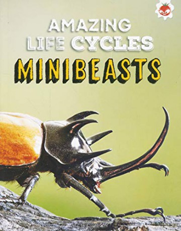 Creepy Crawlies - Amazing Life Cycles - John Allan [KSIĄŻKA]