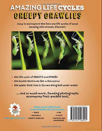 Creepy Crawlies - Amazing Life Cycles - John Allan [KSIĄŻKA]