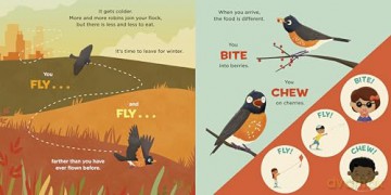 You Are a Robin! (Meet Your World) - Laurie Ann Thompson [KSIĄŻKA]