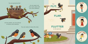 You Are a Robin! (Meet Your World) - Laurie Ann Thompson [KSIĄŻKA]