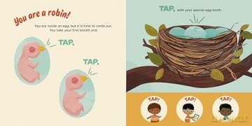 You Are a Robin! (Meet Your World) - Laurie Ann Thompson [KSIĄŻKA]