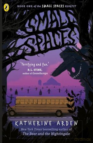Small Spaces: A spine tinglingly spooky horror, perfect for kids aged 10-12 - Katherine Arden [KSIĄŻKA]