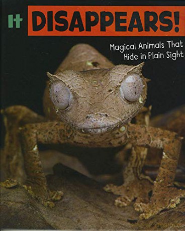 Magical Animals: It Disappears!: Magical Animals That Hide in Plain Sight - Nikki Potts [KSIĄŻKA]