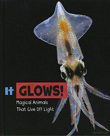Magical Animals: It Glows!: Magical Animals That Give Off Light - Nikki Potts [KSIĄŻKA]