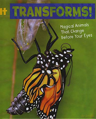 Magical Animals: It Transforms!: Magical Animals That Change Before Your Eyes - Nikki Potts [KSIĄŻKA]