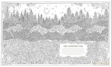 Into the Fungarium: A Spellbinding Coloring Book of Fantastical Fungi - Anna Tromop [KSIĄŻKA]